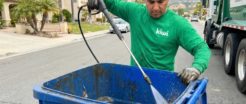 Bin Cleaning service in San Diego